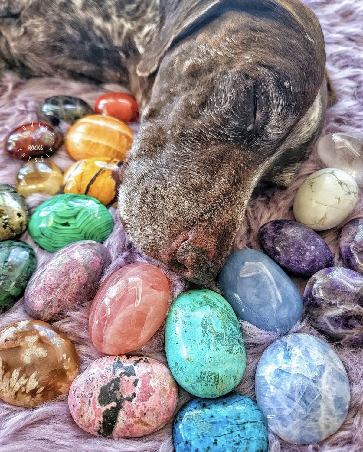 Crystal Healing for Animals