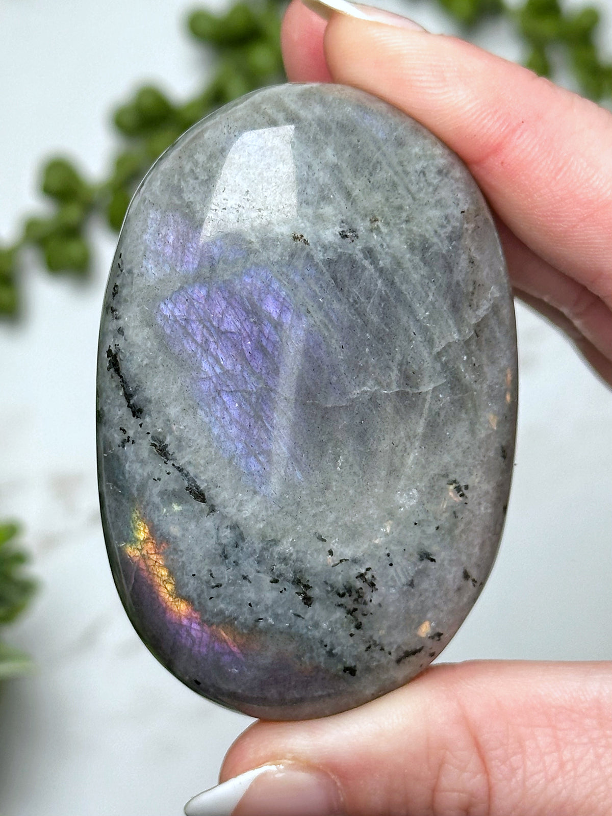Labradorite Palmstone - #7