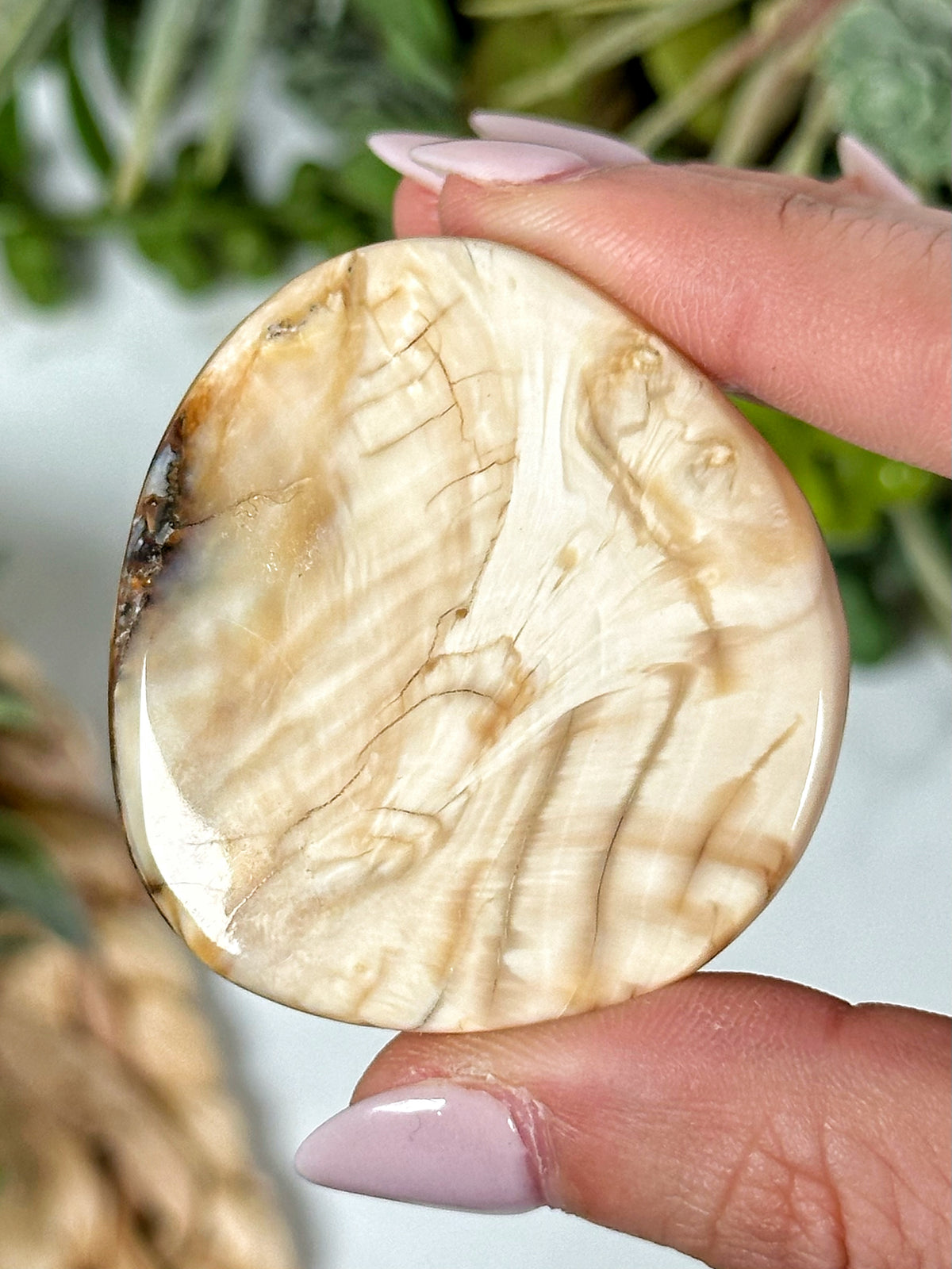 Woolly Mammoth Molar Palmstone - #3