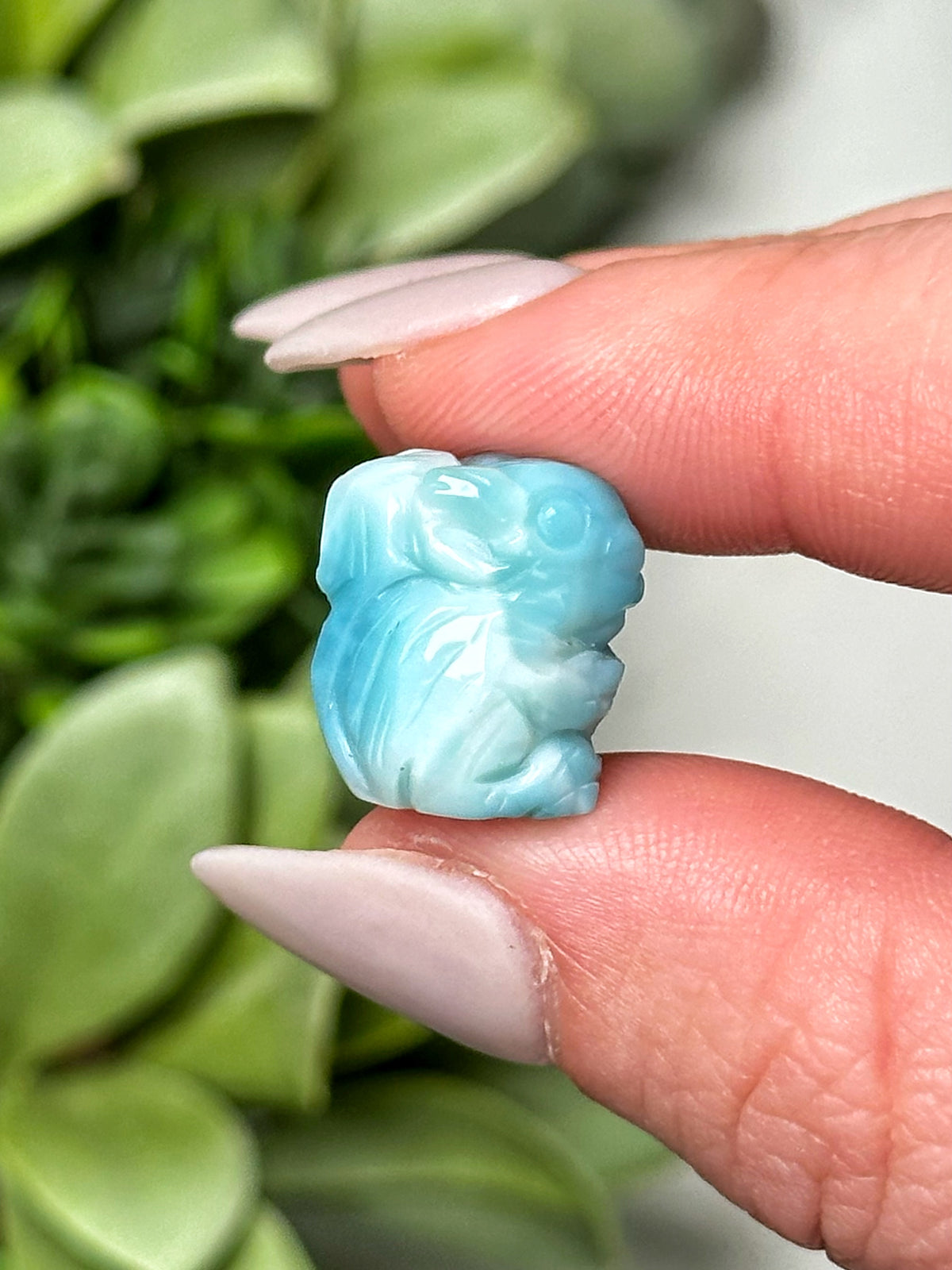Larimar Squirrel - #7