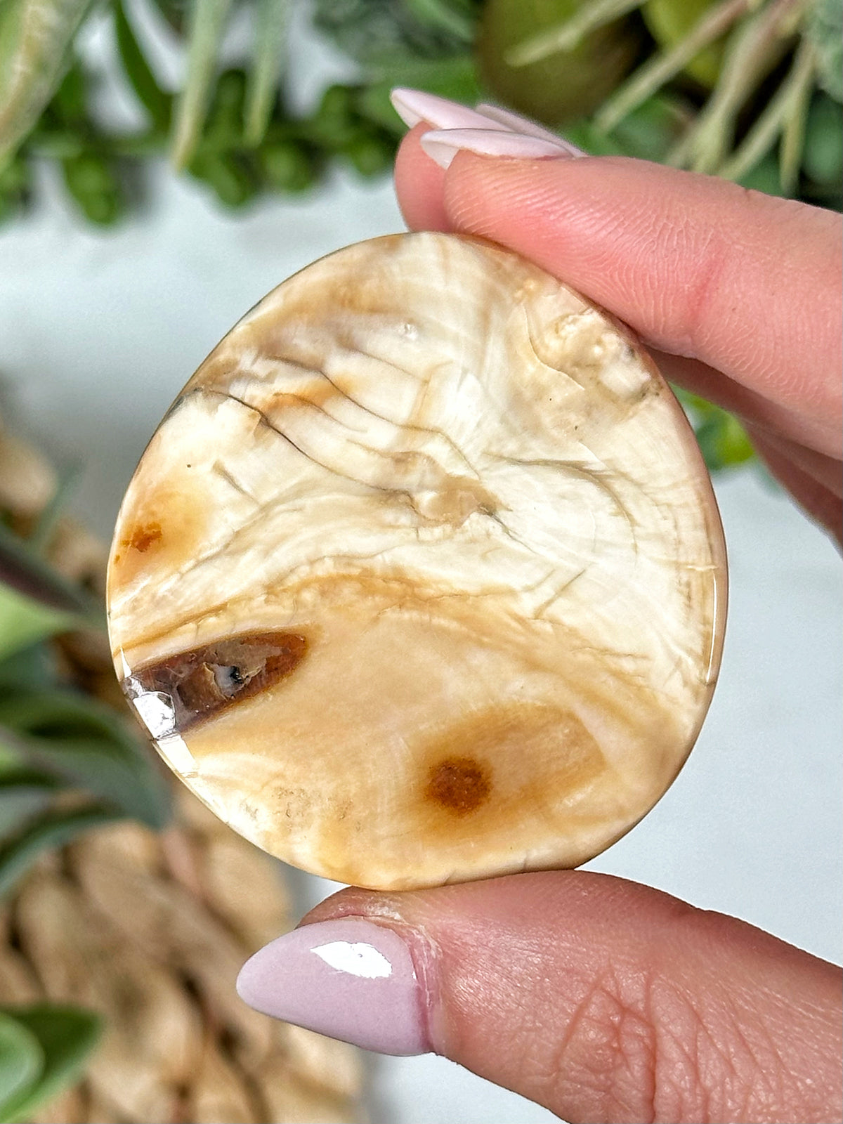 Woolly Mammoth Molar Palmstone - #2