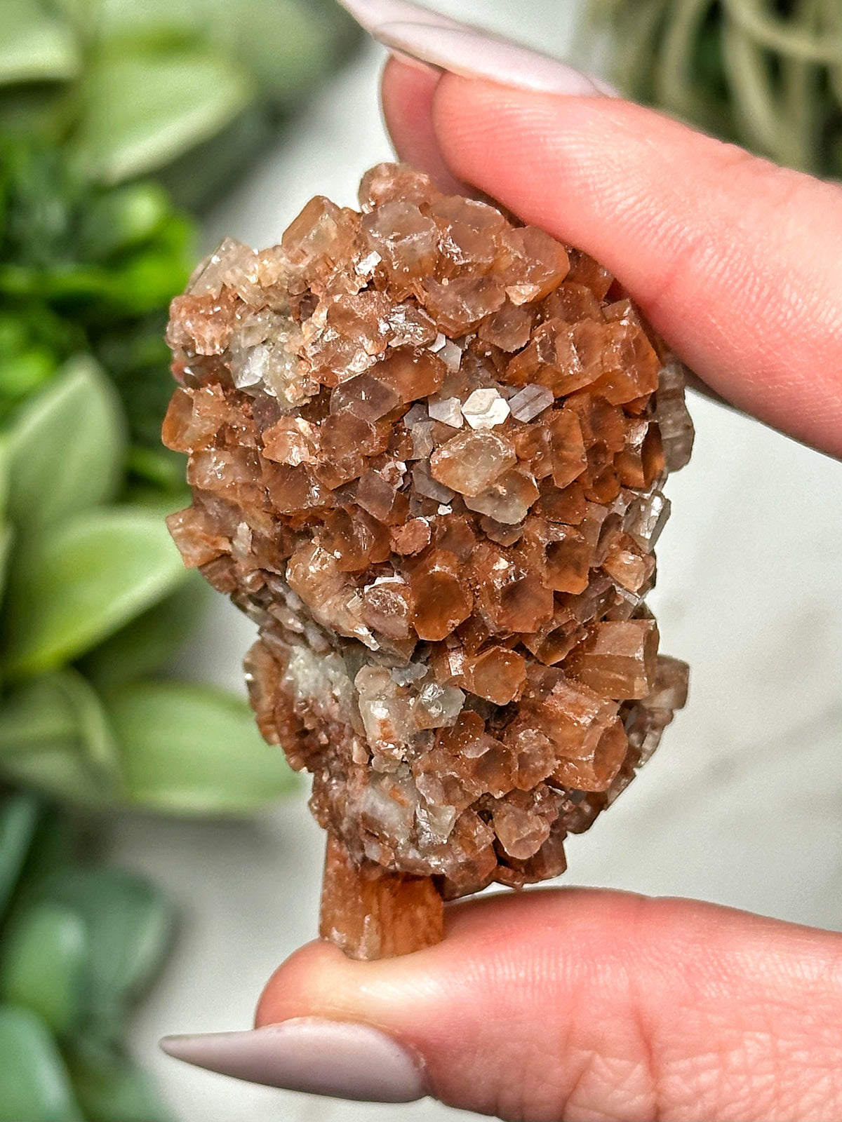 Raw Aragonite - #6
