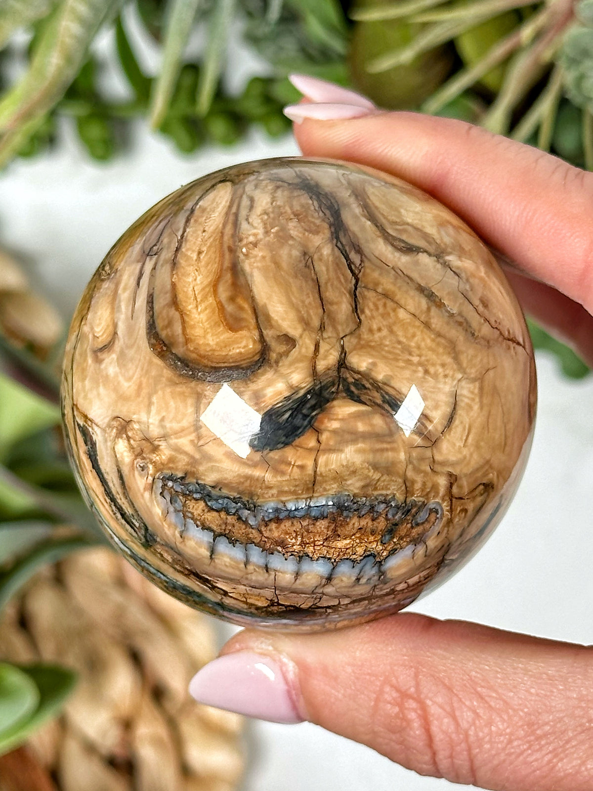 Woolly Mammoth Molar Sphere - #2