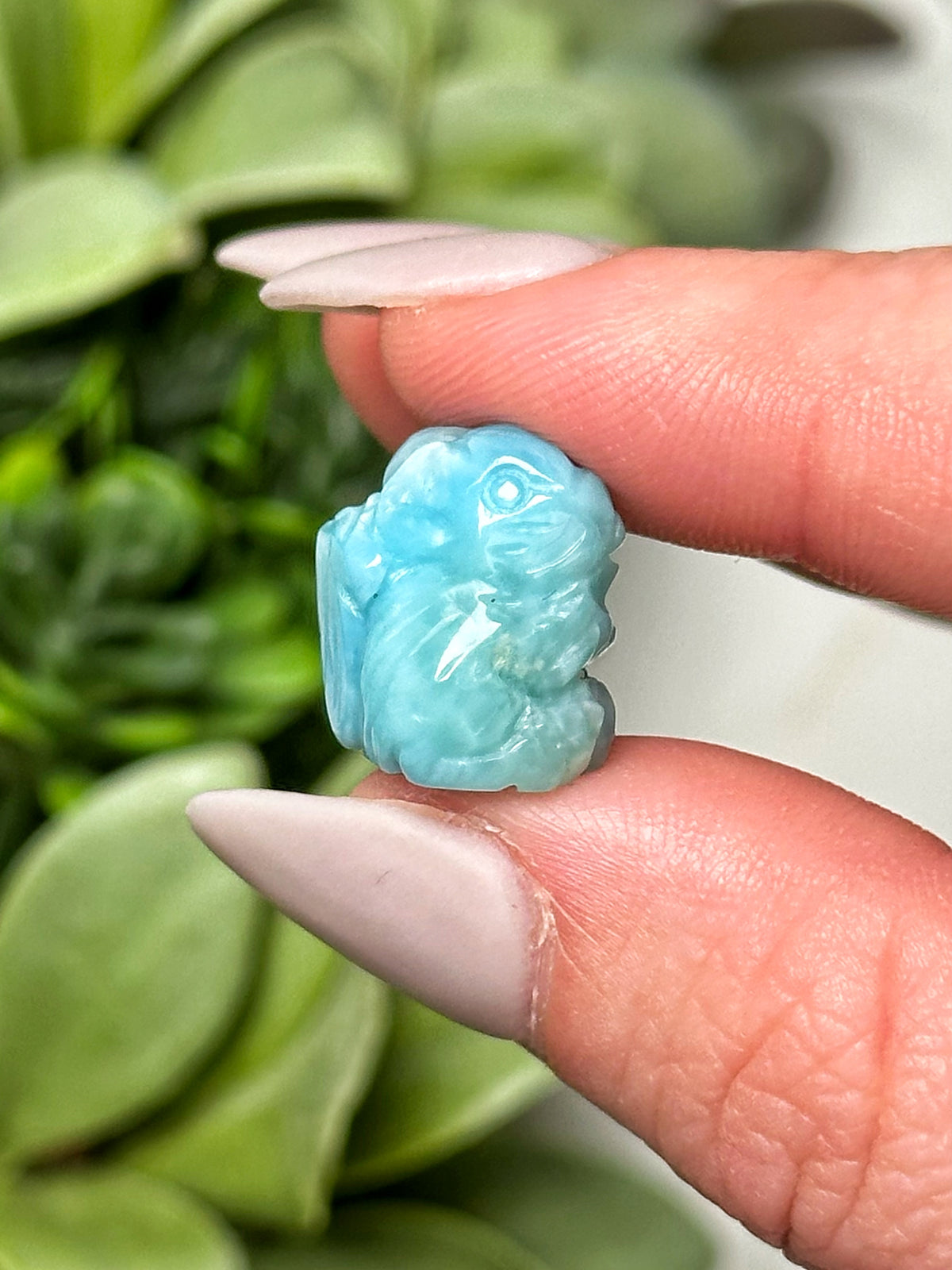 Larimar Squirrel - #6