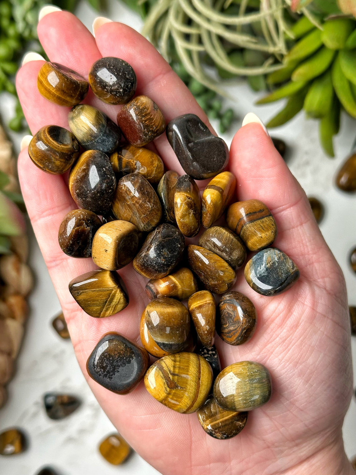 Tigers Eye Tumbles - Root, Sacral, & Solar Plexus Chakra - No. 5