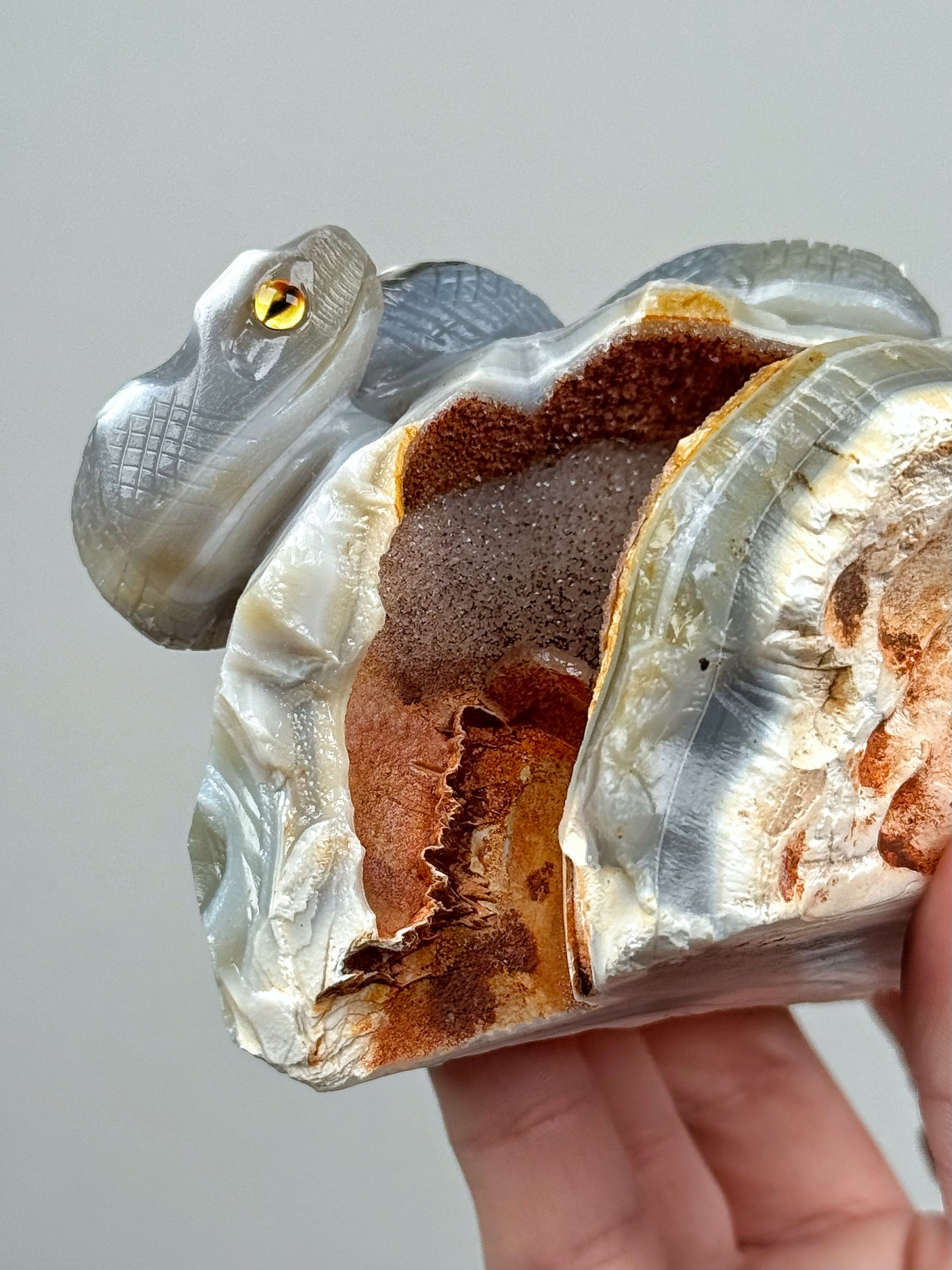 Orca Agate Snake - #1