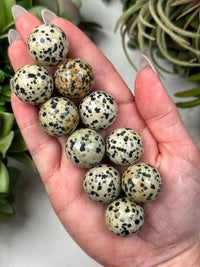 Dalmatian Jasper Mini Spheres - Root Chakra - No. 34