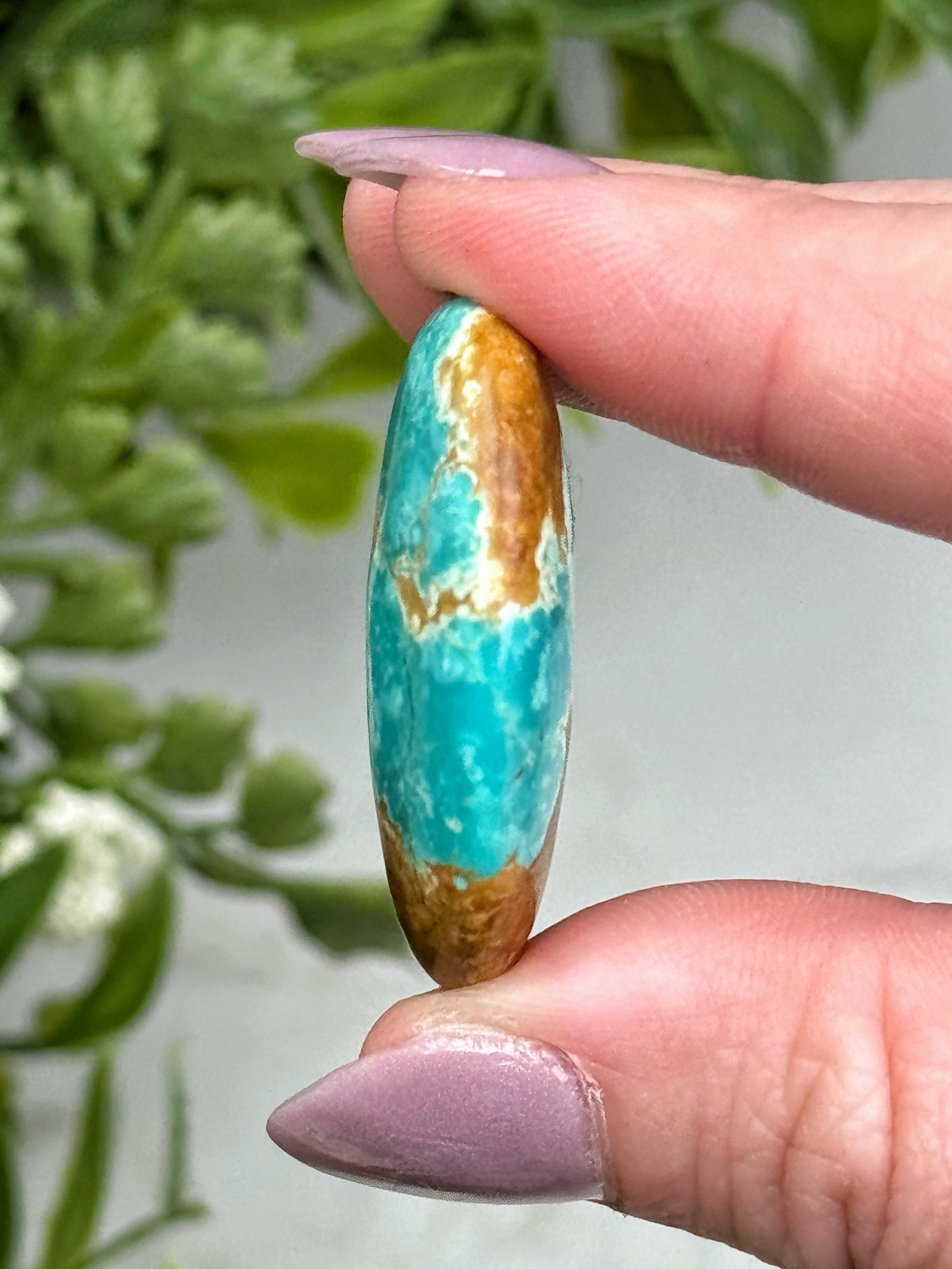 Turquoise Palmstone - #11