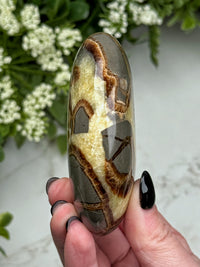 Septarian Palmstone - #2