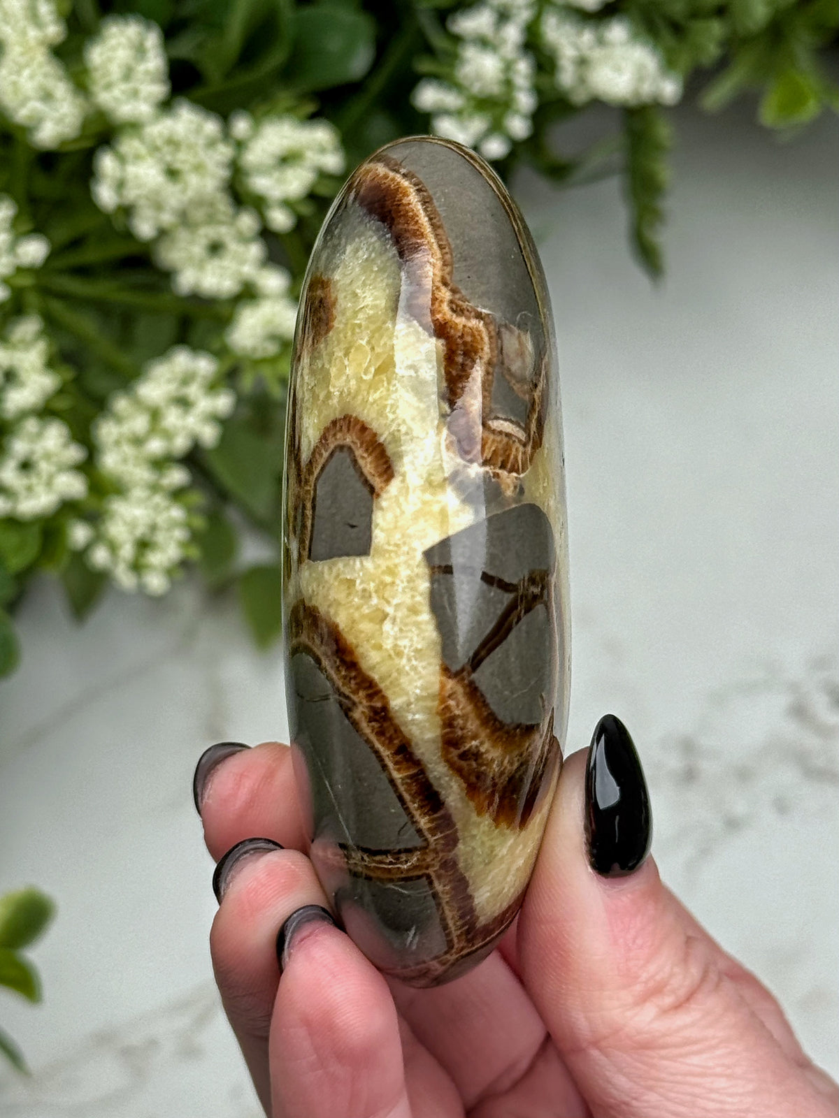 Septarian Palmstone - #2
