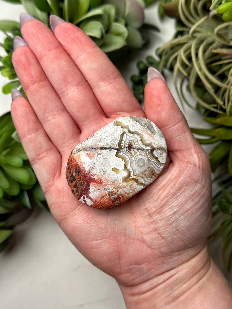 Crazy Lace Agate Palmstone - #12