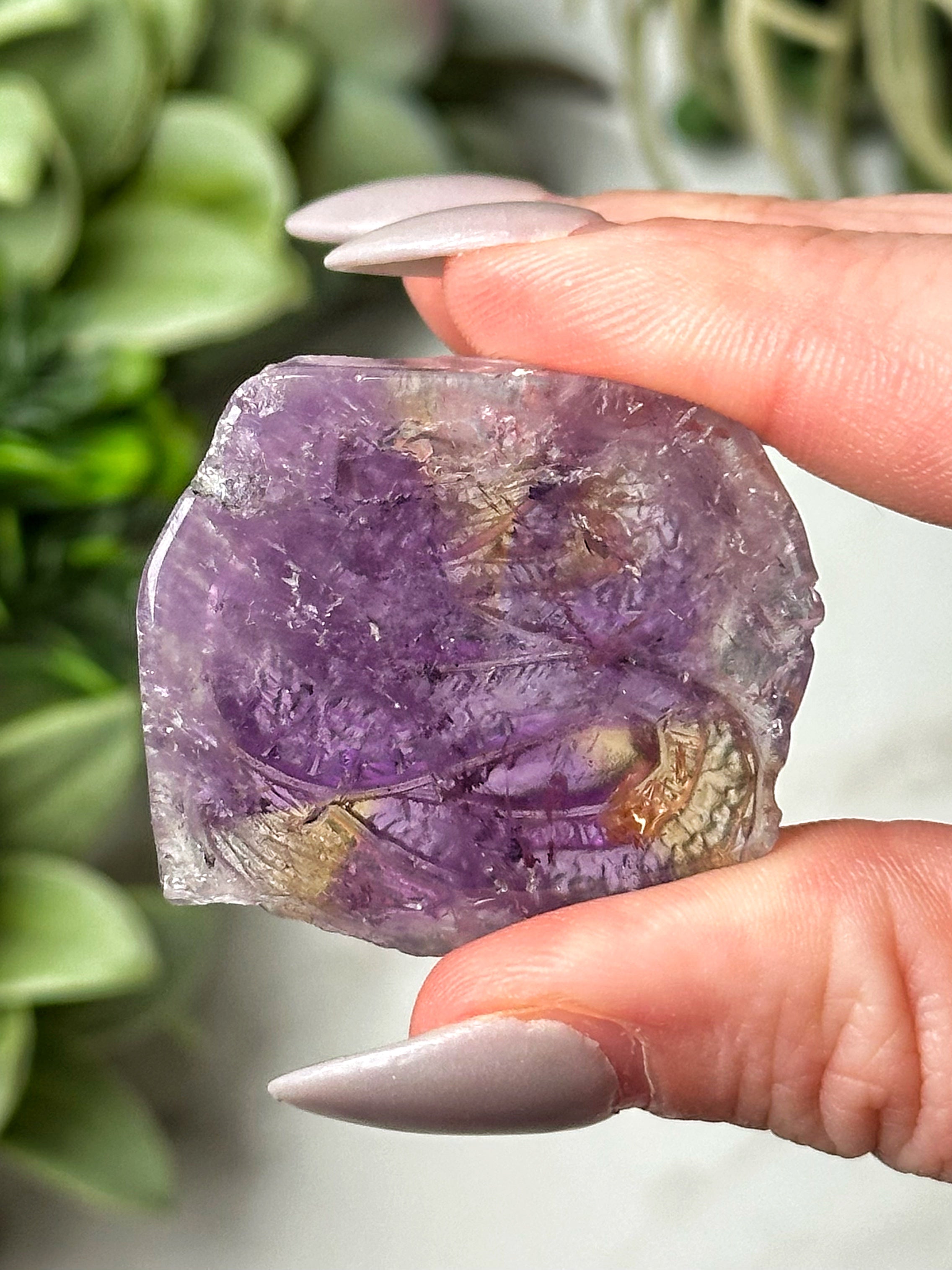 Ametrine Dragon - #3