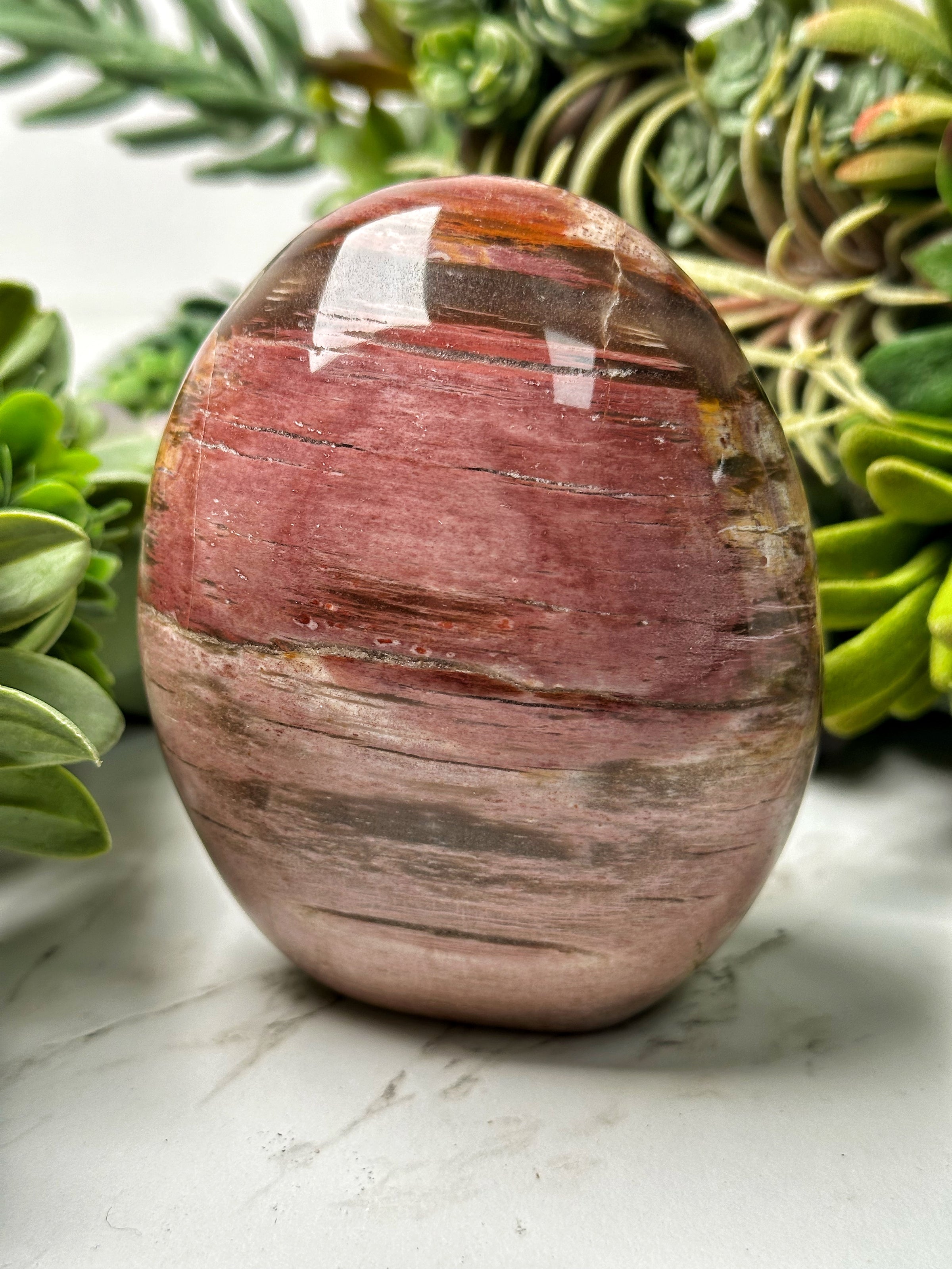 Petrified Wood Freeform - #11
