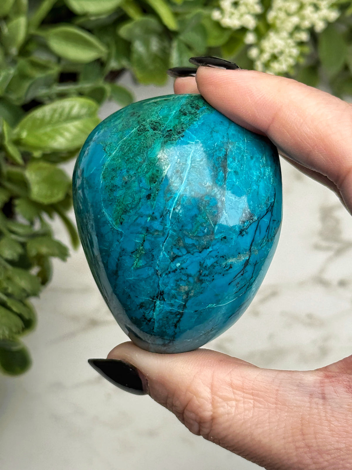Chrysocolla Freeform - #20