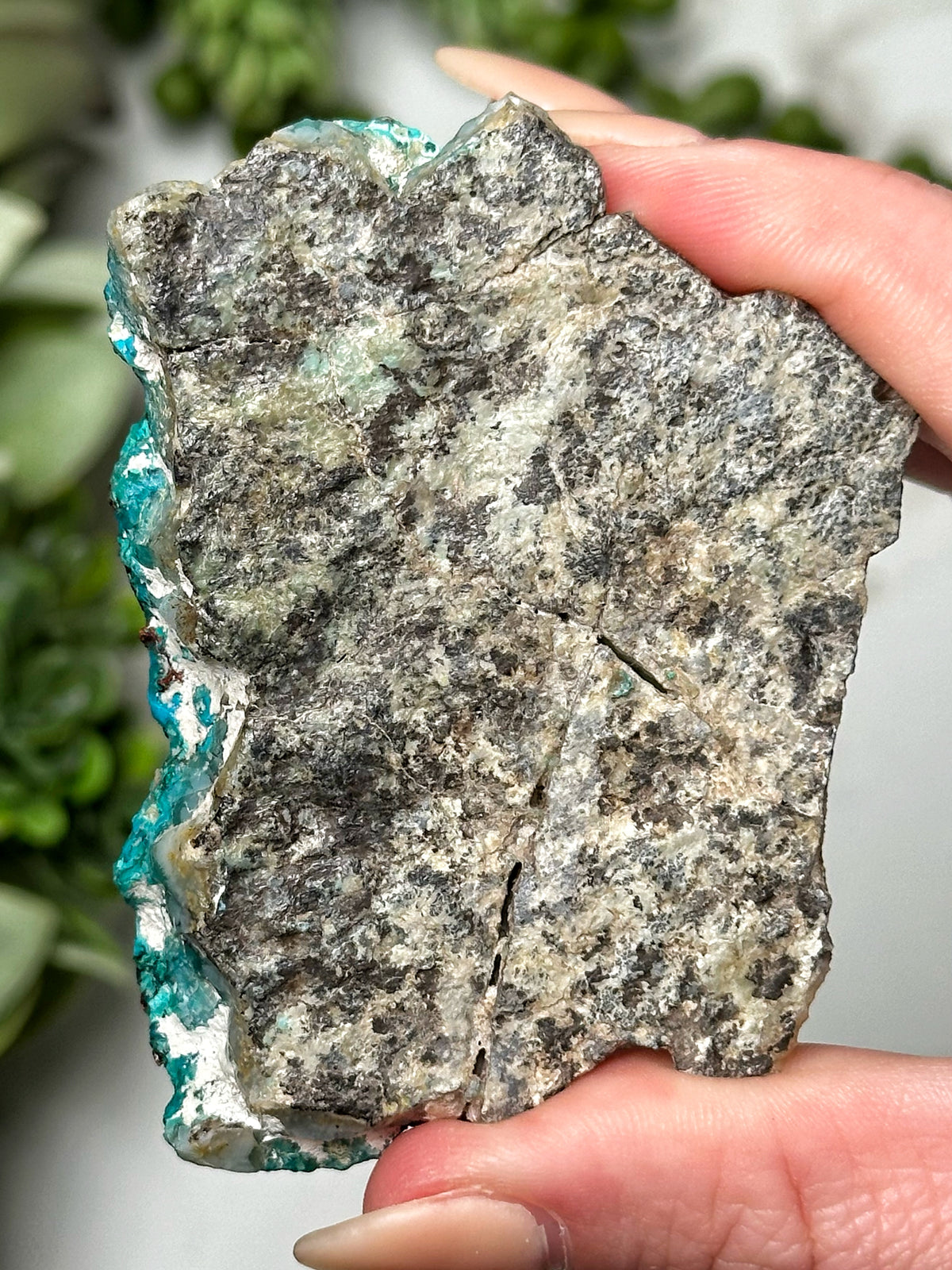Chrysocolla with Copper Dragon - #1
