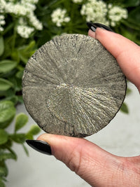 Pyrite Sun - #11