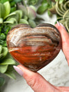 Petrified Wood Heart - #16