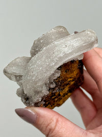 Selenite Ram's Horn - #1