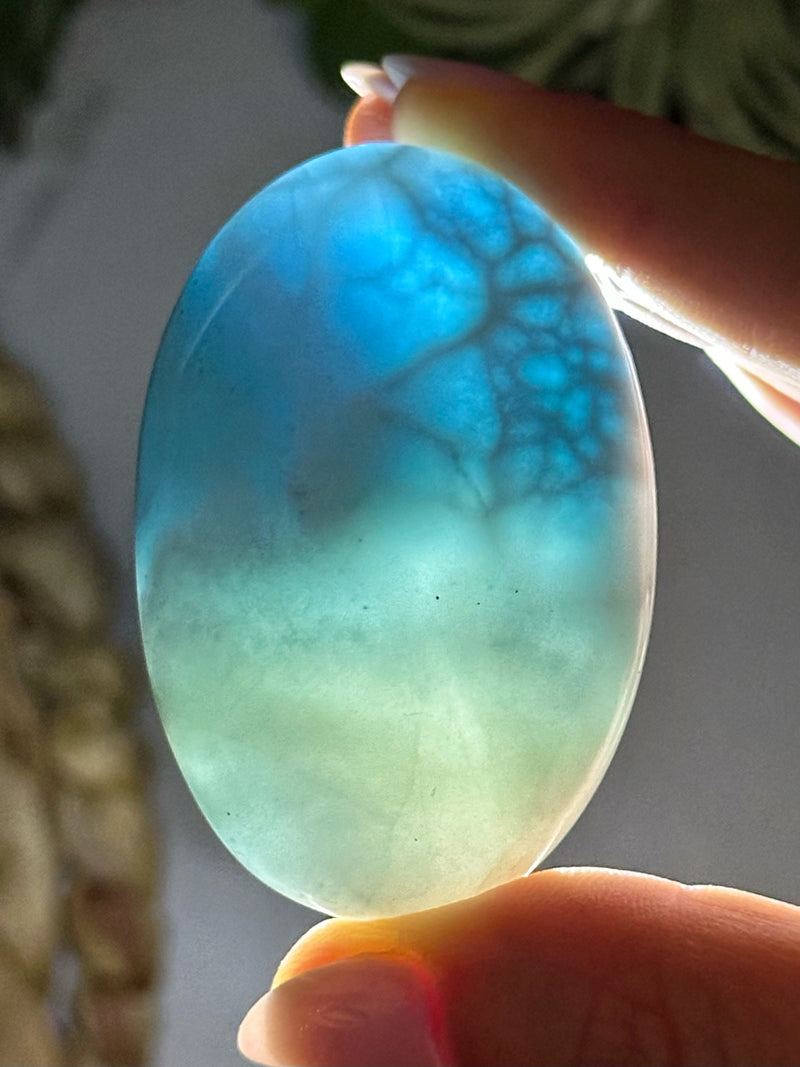 Larimar Palmstone - #1