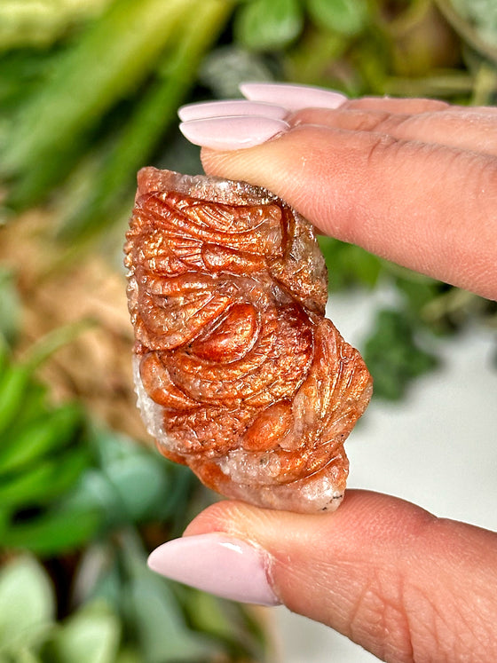Flashy Sunstone Dragon - #1