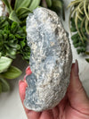 Raw Celestite - #5