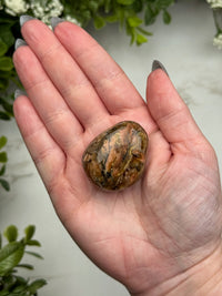 Blue Opalized Petrified Wood Palmstone - #13