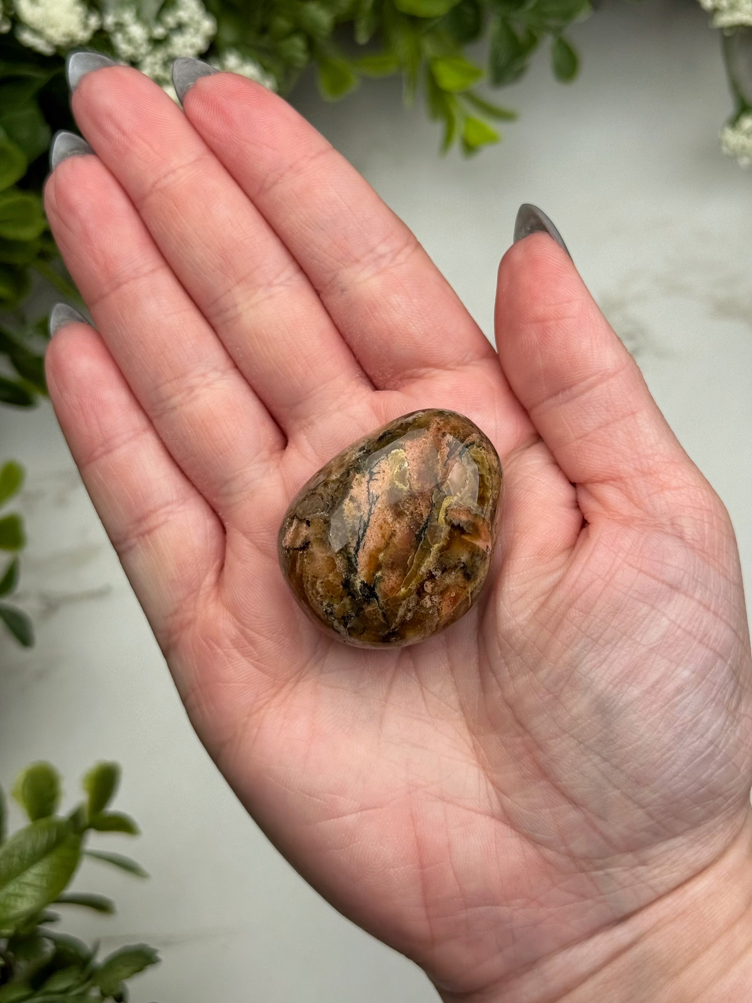 Blue Opalized Petrified Wood Palmstone - #13
