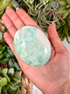 Caribbean Calcite Palmstone - #2