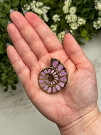 Phosphosiderite Ammonite Inlay - #2
