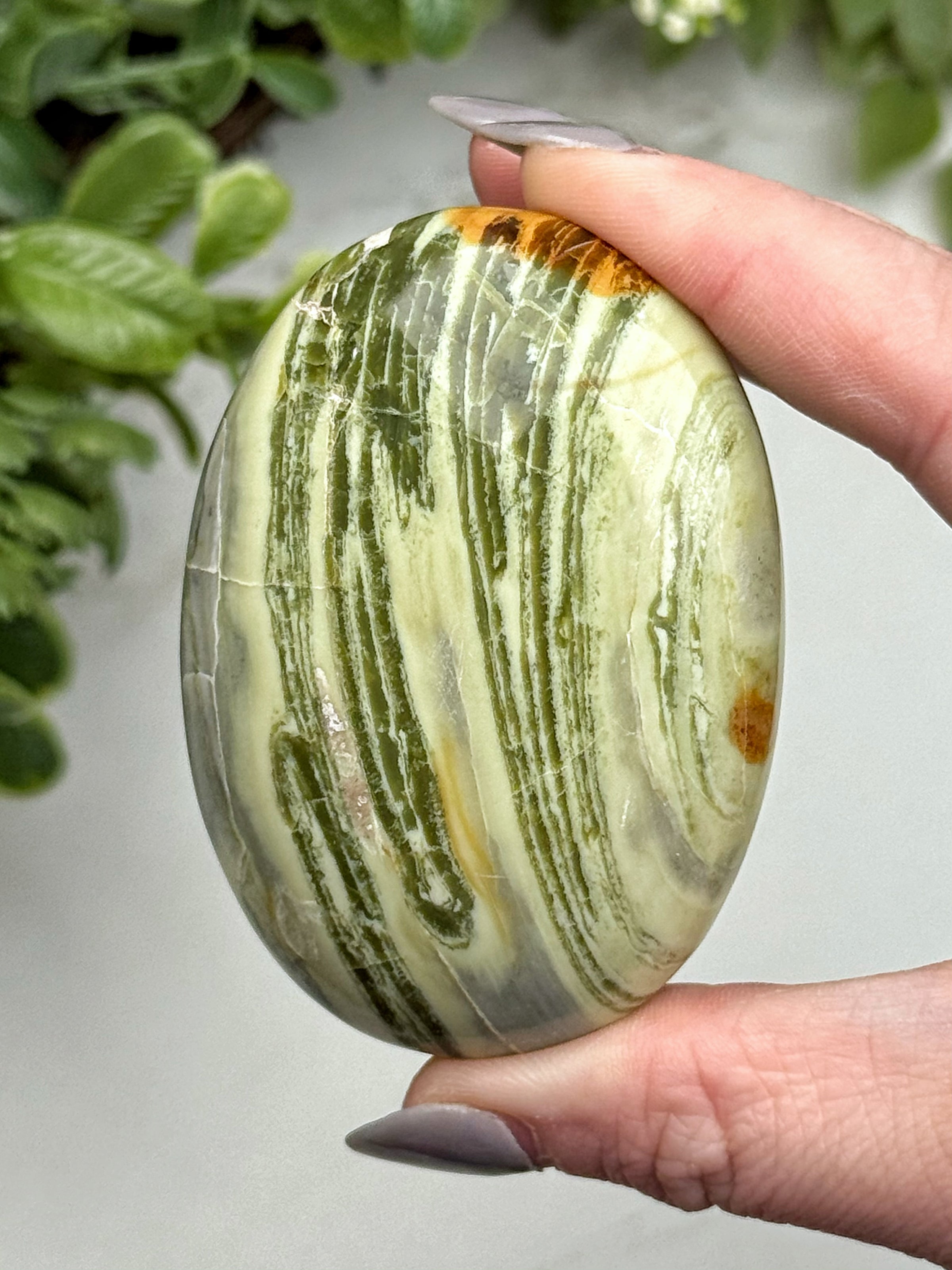 Serpentine Palmstone - #8