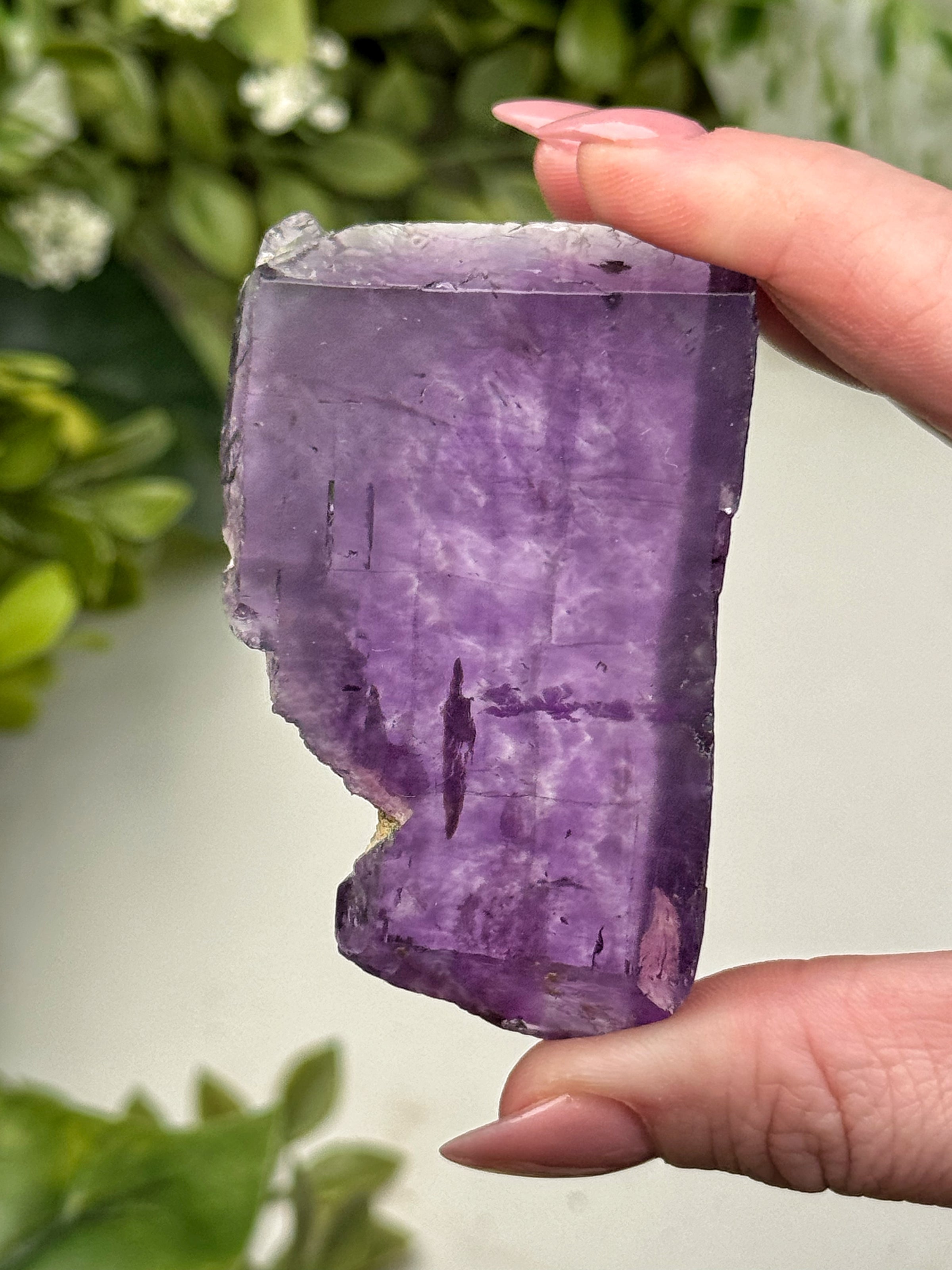 Phantom Fluorite Slab - #12
