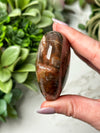 Petrified Wood Heart - #16