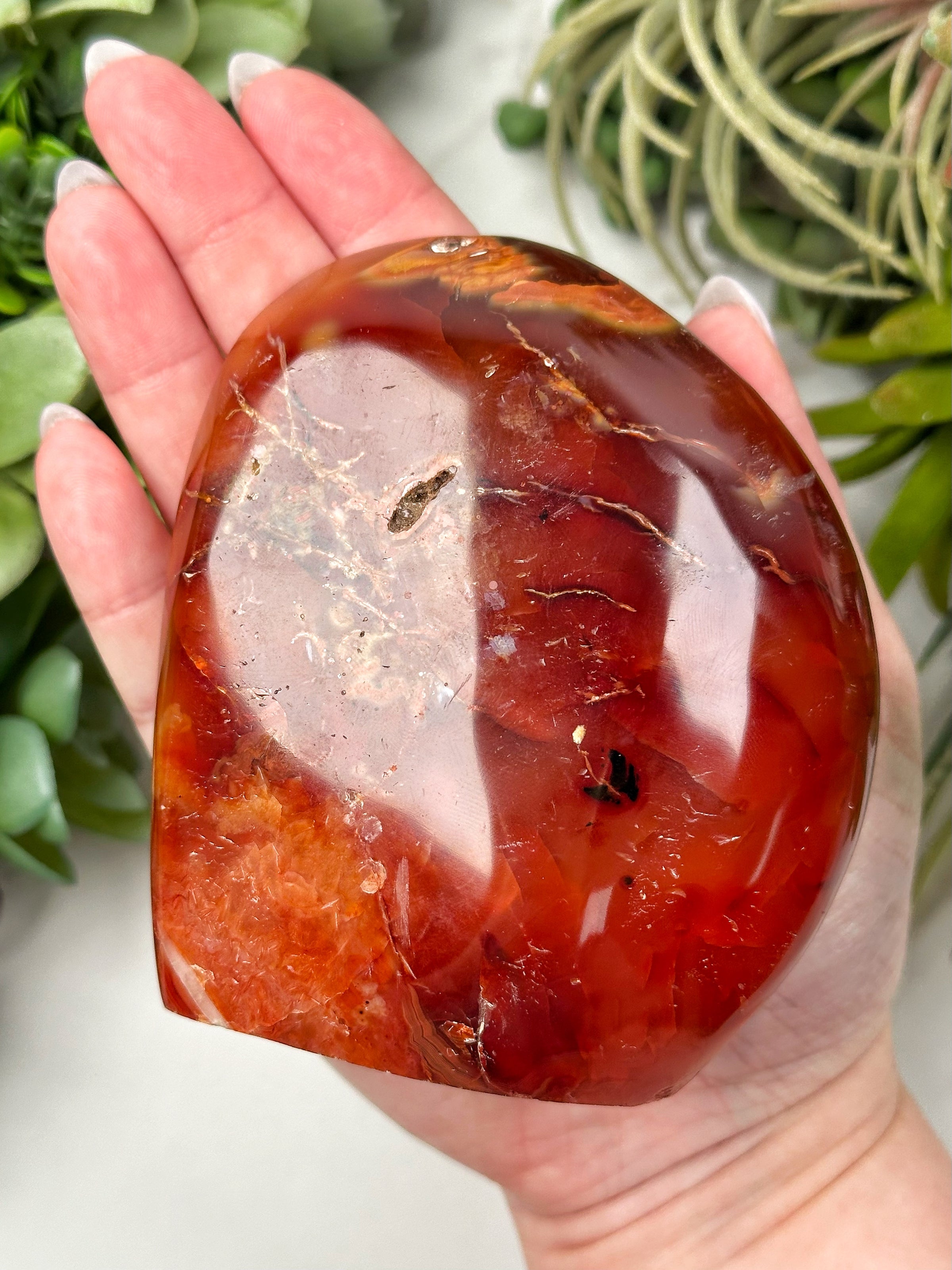 Carnelian Freeform - #14