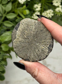 Pyrite Sun - #14