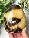 Septarian Freeform - #15
