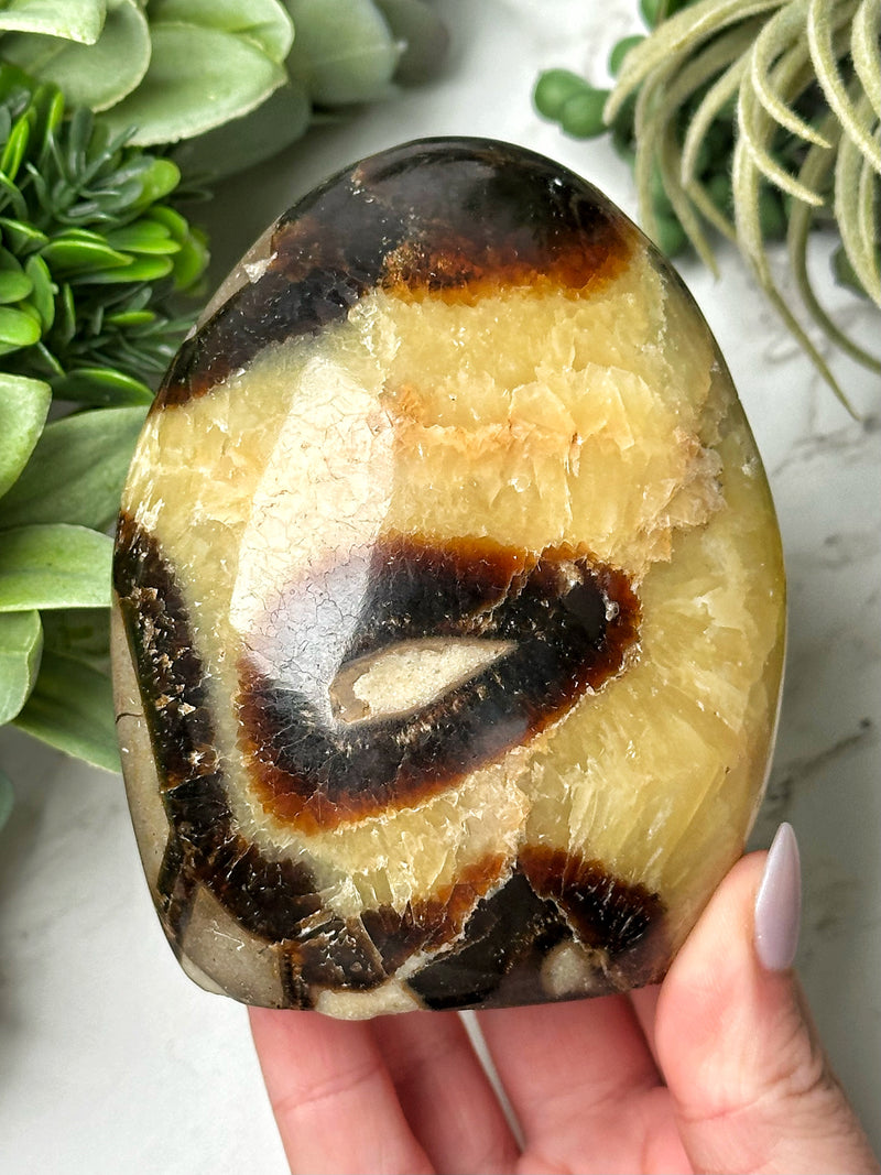 Septarian Freeform - #15