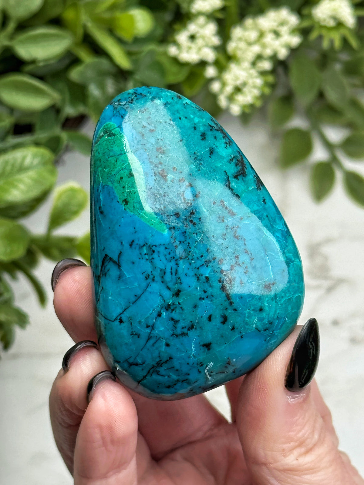 Chrysocolla Freeform - #22