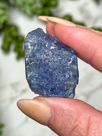 Tanzanite Dragon - #1