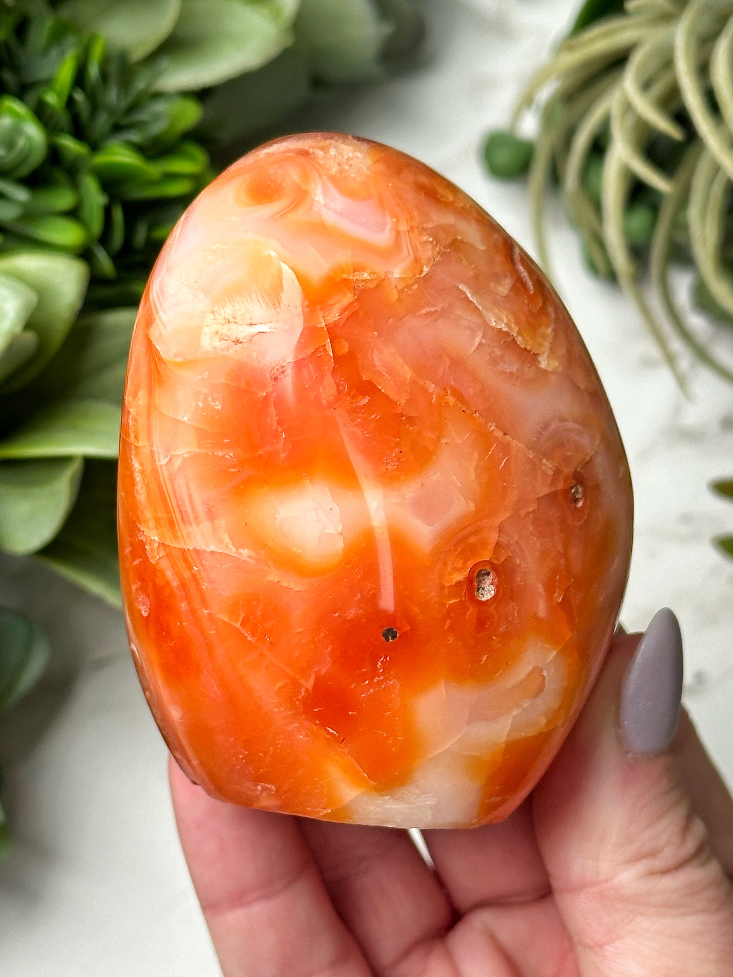 Carnelian Freeform - #21
