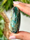 Blue Opalized Petrified Wood Palmstone - #2