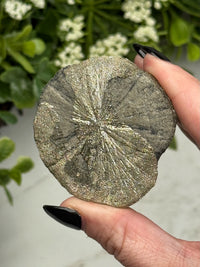 Pyrite Sun - #12