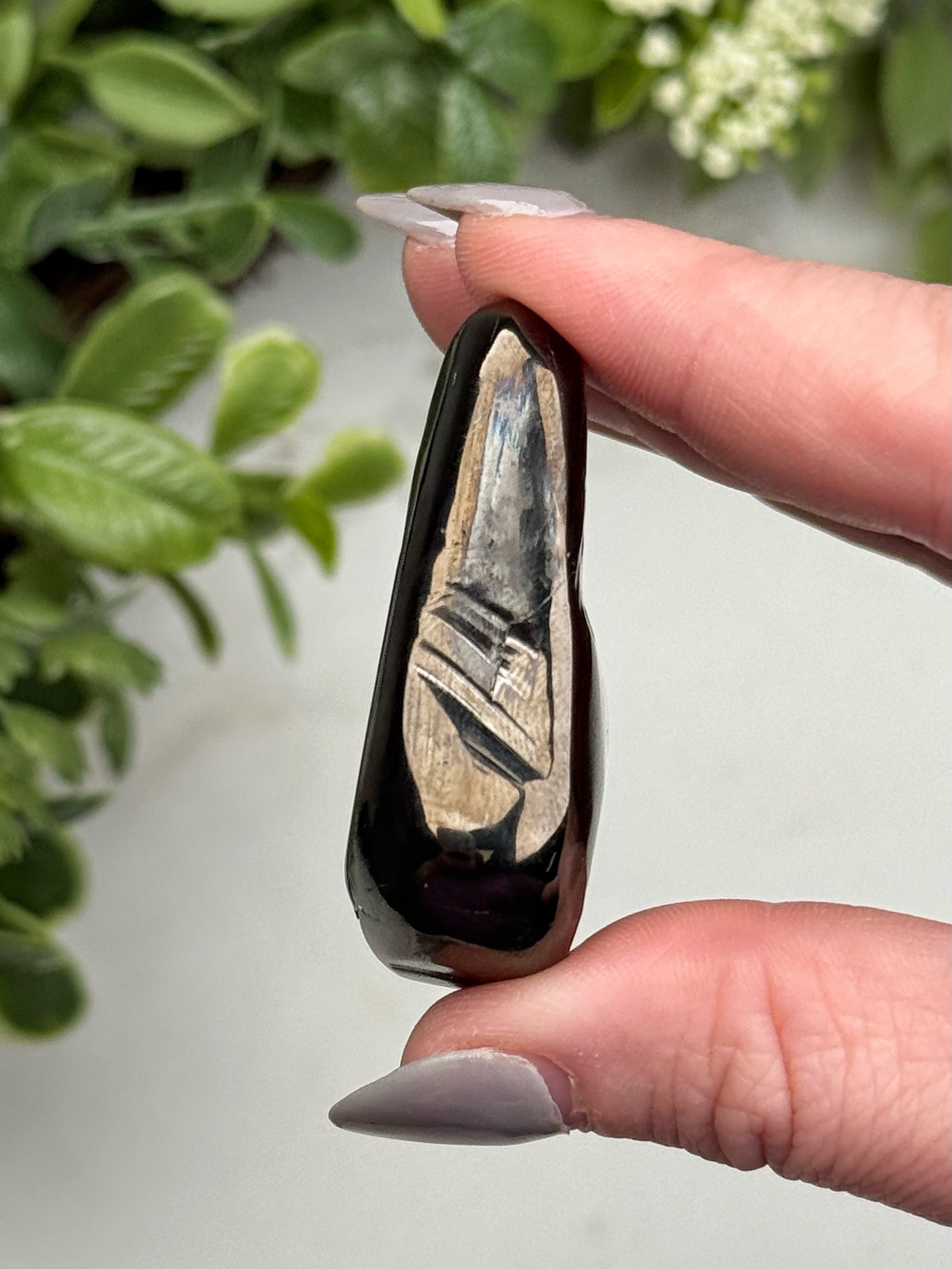 Elite Shungite Palmstone - #12