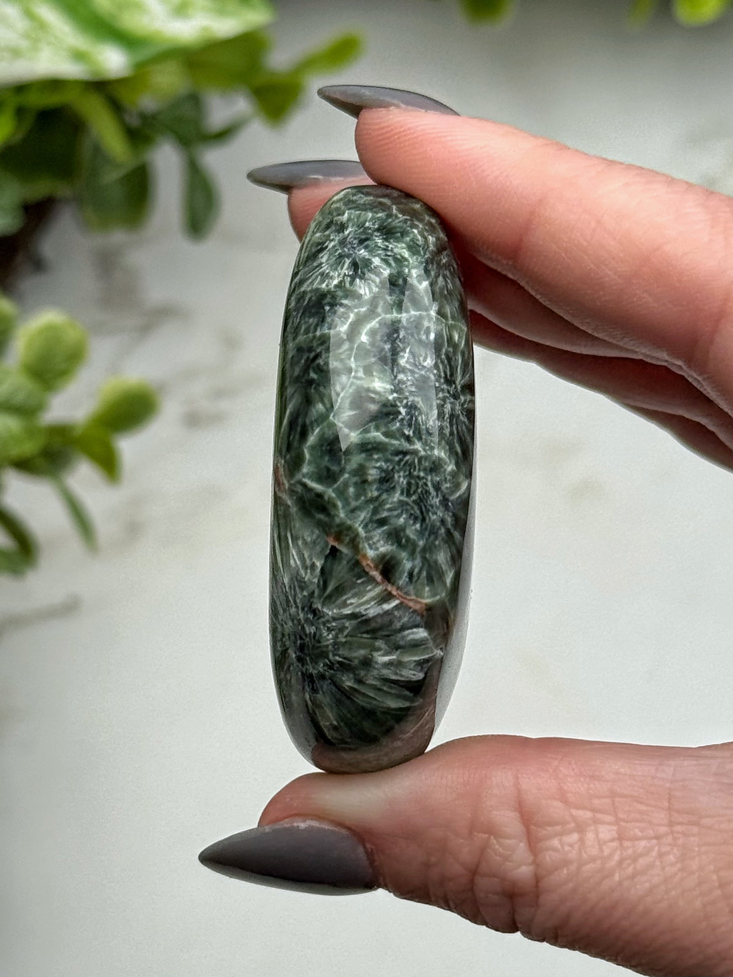 Seraphinite Palmstone - #1