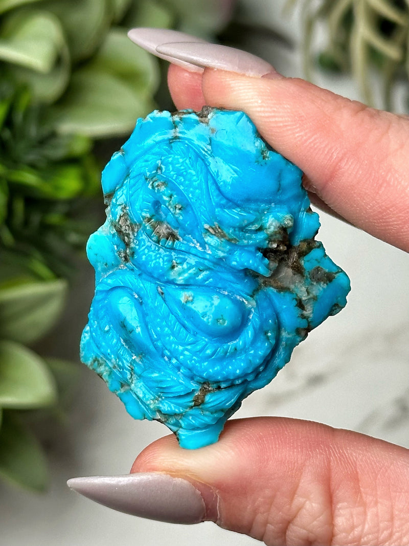 Turquoise Dragon - #1