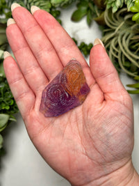 Ametrine Dragon - #1