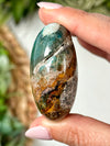 Blue Opalized Petrified Wood Palmstone - #3