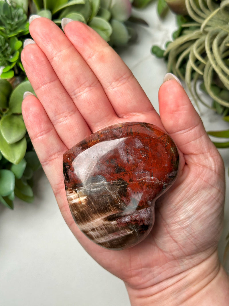 Petrified Wood Heart - #14