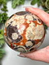 Money Agate Sphere - #7
