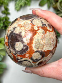 Money Agate Sphere - #7