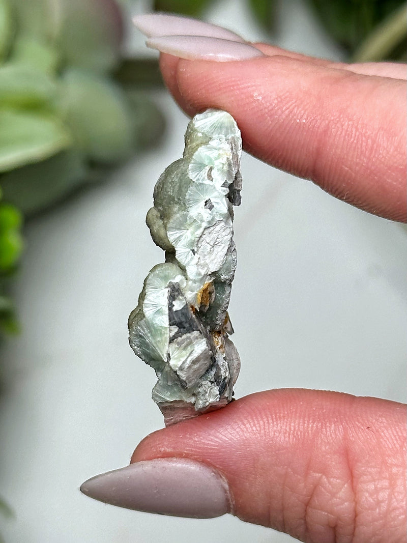 Wavellite - #12